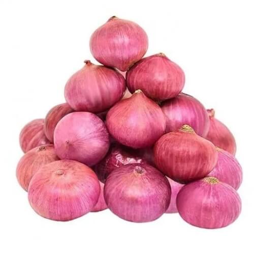 Onion In Rewa