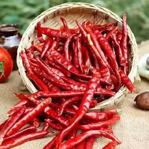 Red Chilli In Rewa