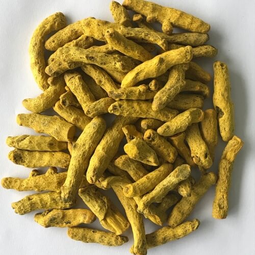 Turmeric In Rewa