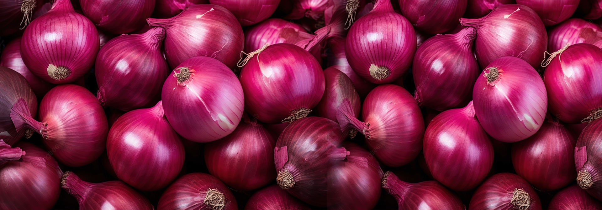 Onion Merchant Exporters