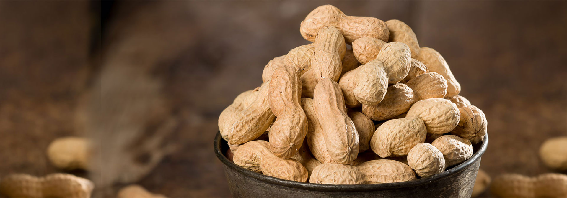 Peanut Merchant Exporters