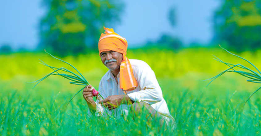 Onion Manufacturers
